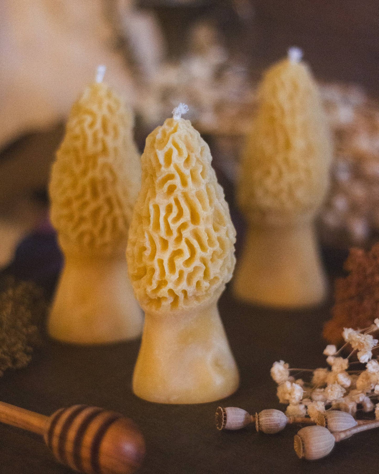 Morel Mushroom Beeswax Candle