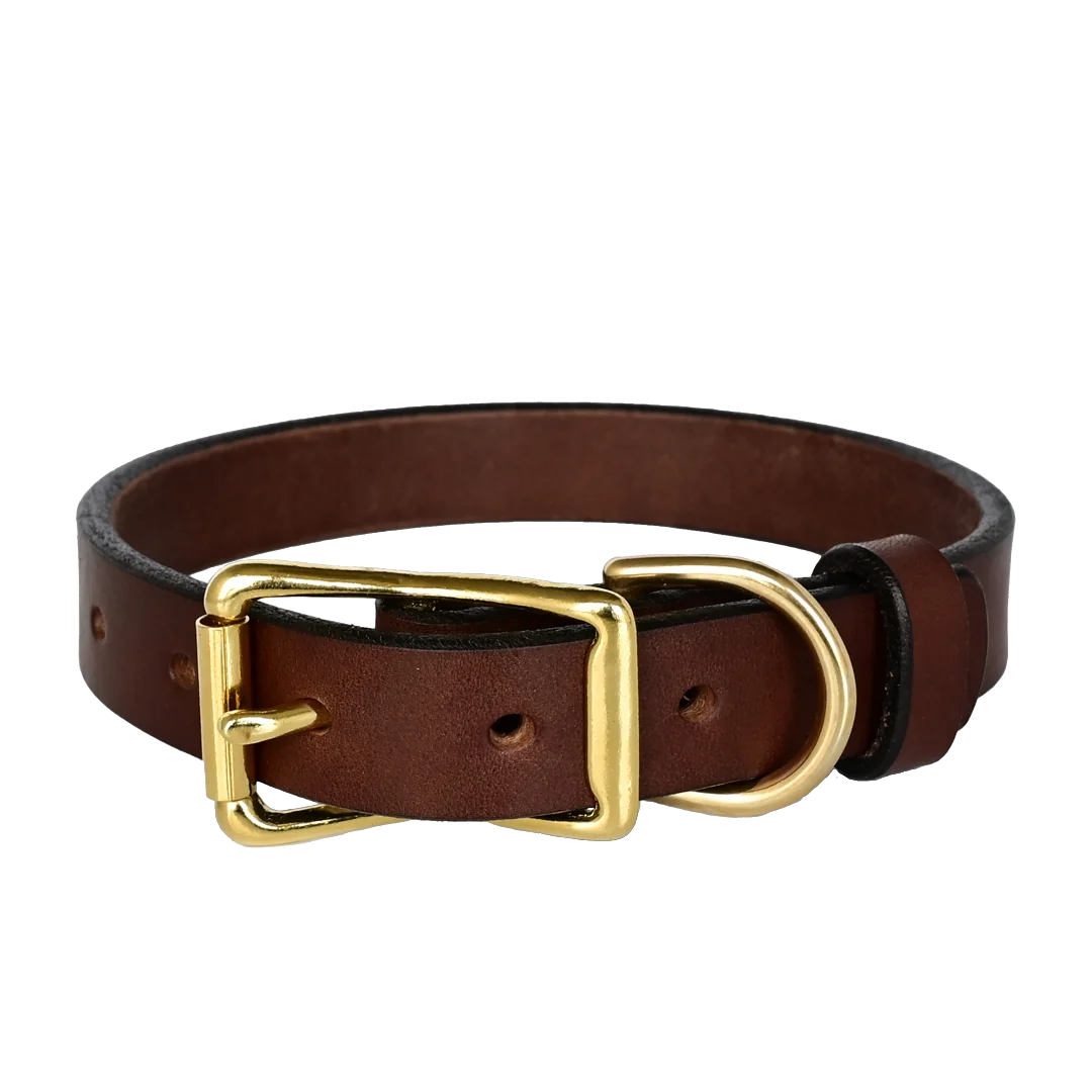 Standard Leather Dog Collar