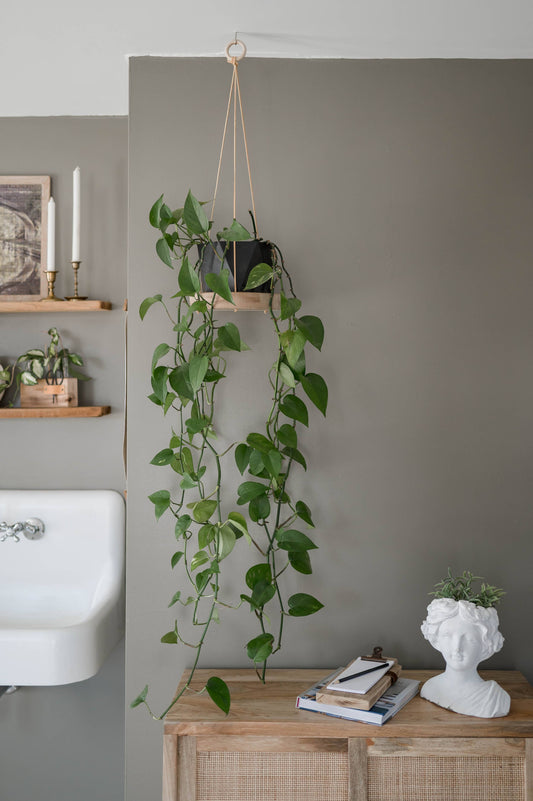 Reclaimed Wood Hanging Plant Hanger