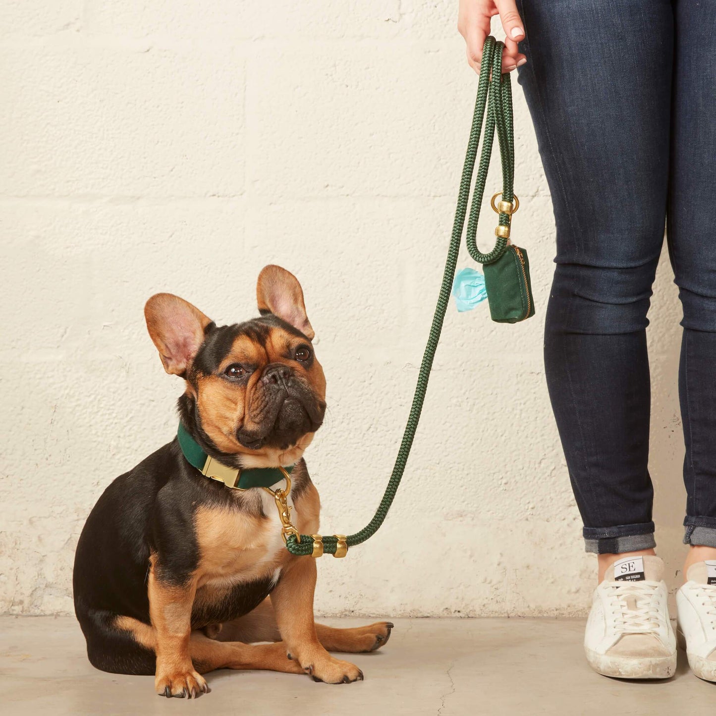 Green Marine Rope Dog Leash