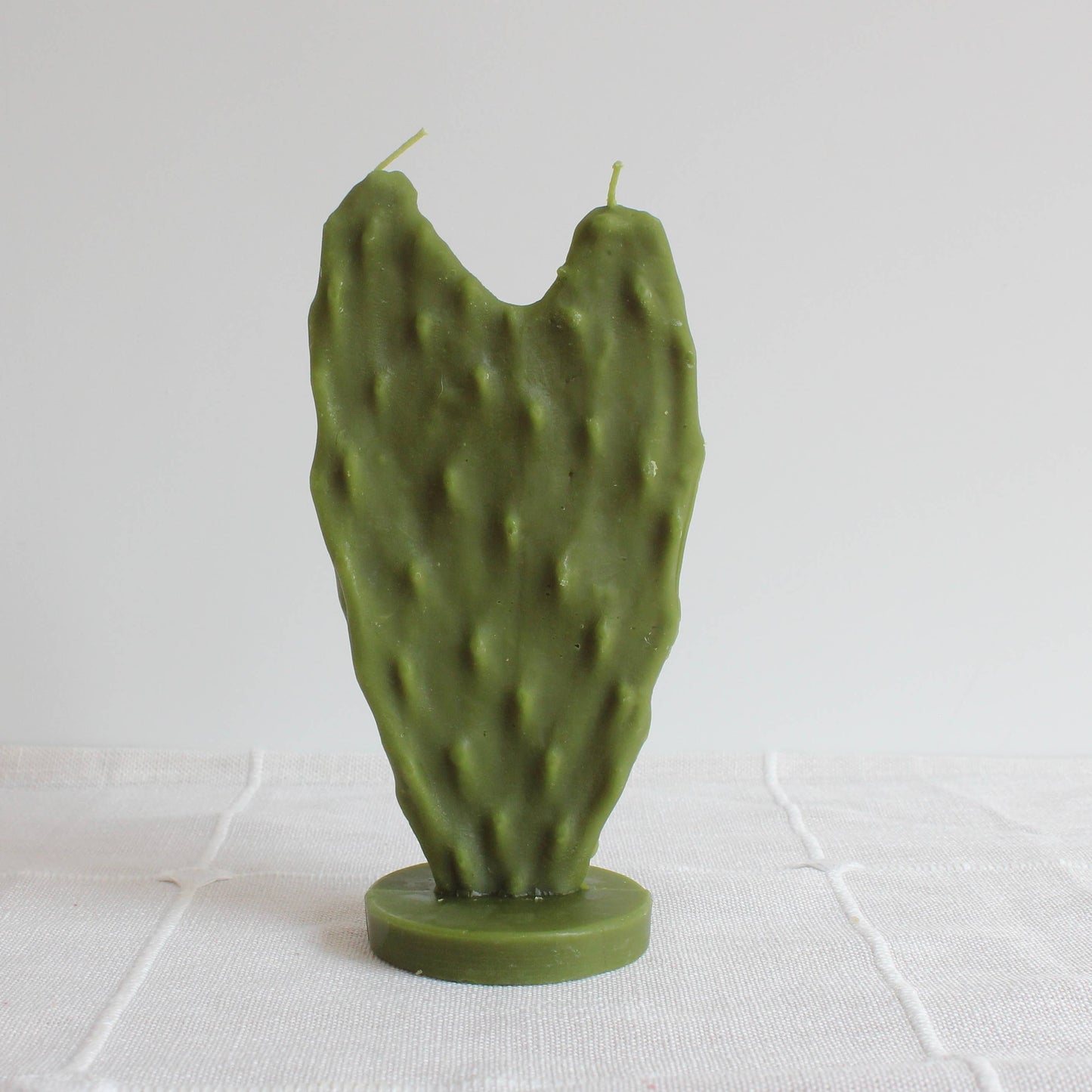 Cactus Beeswax Candle
