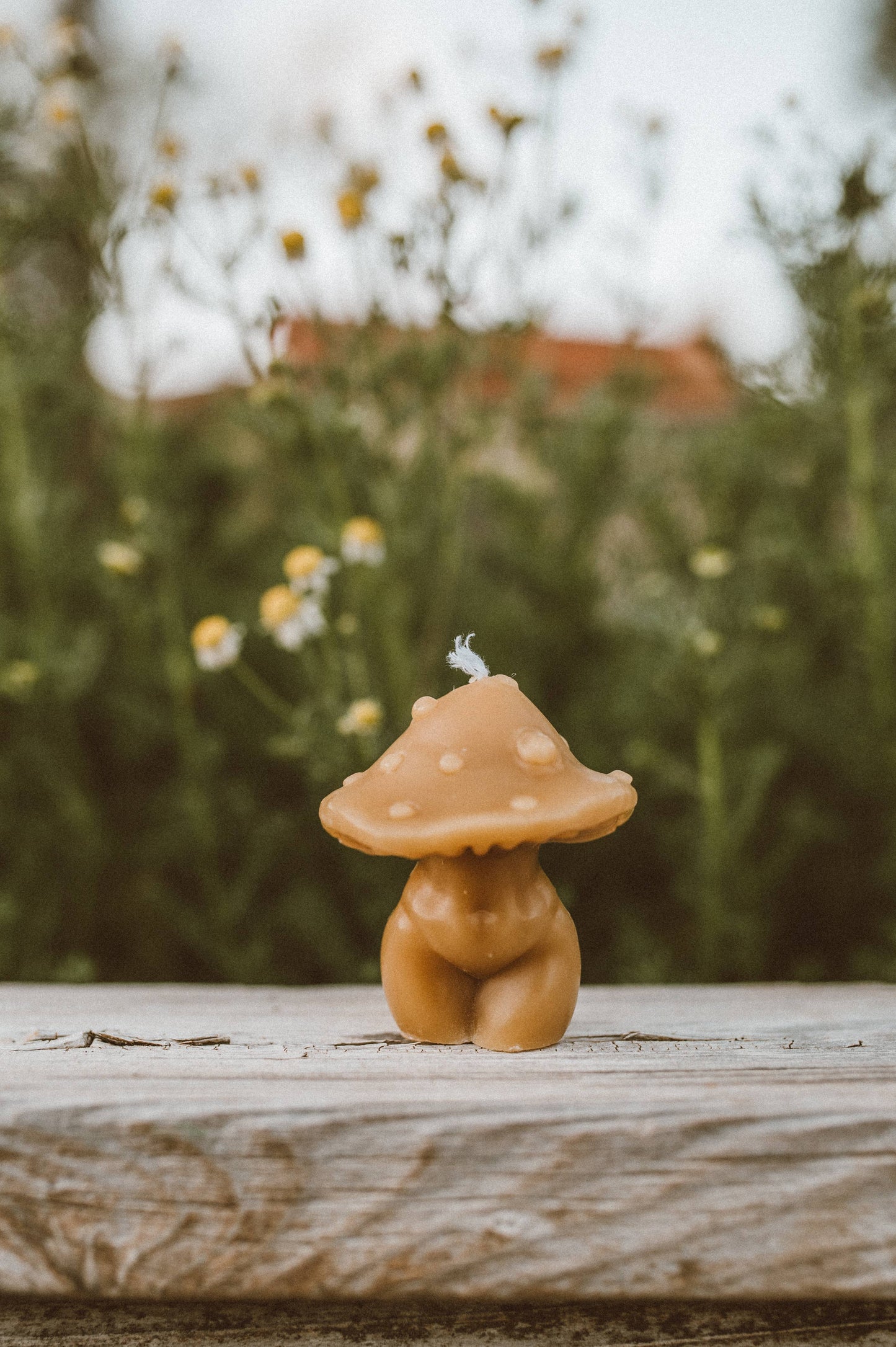 Curvy Mushroom Beeswax Candle