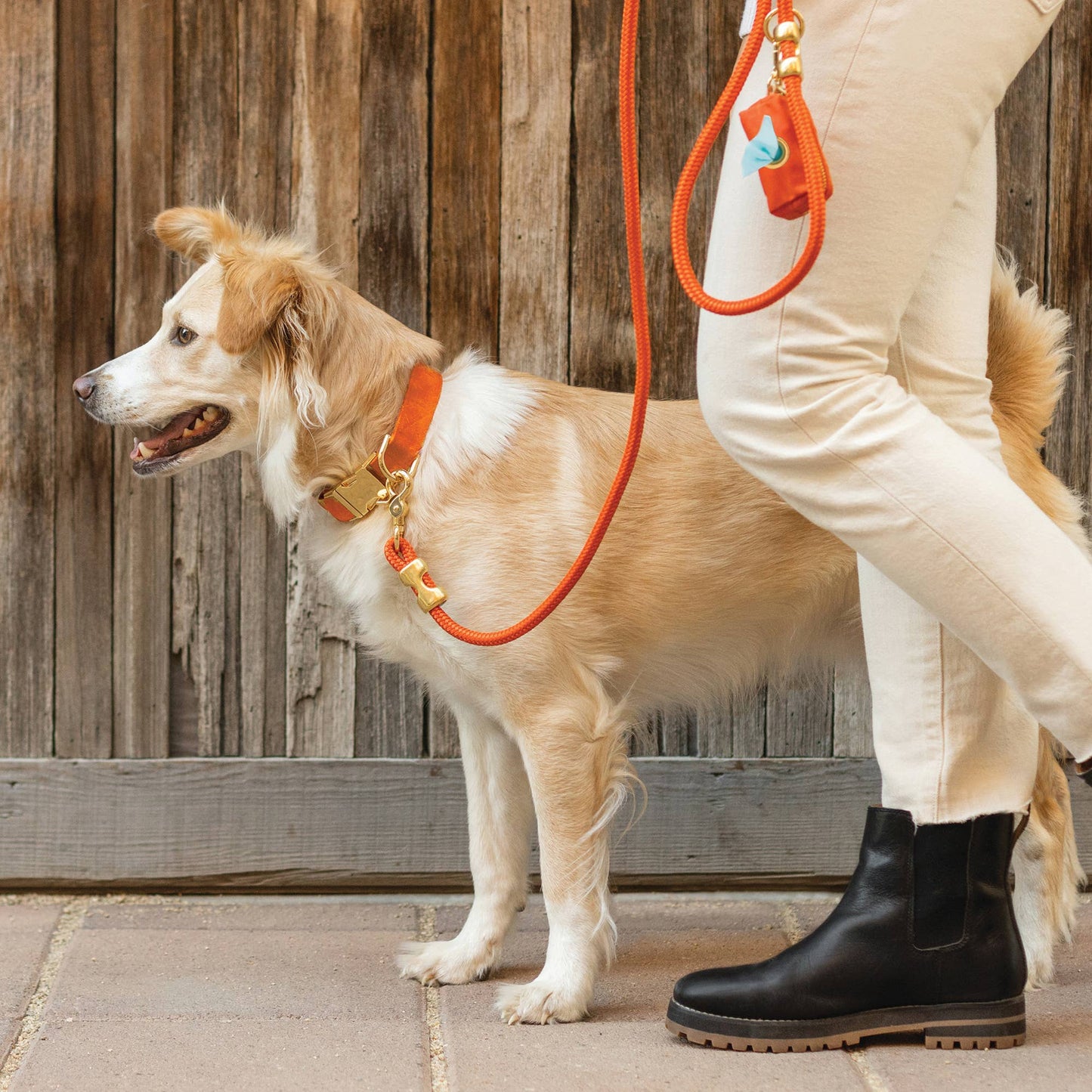 Orange Marine Rope Dog Leash