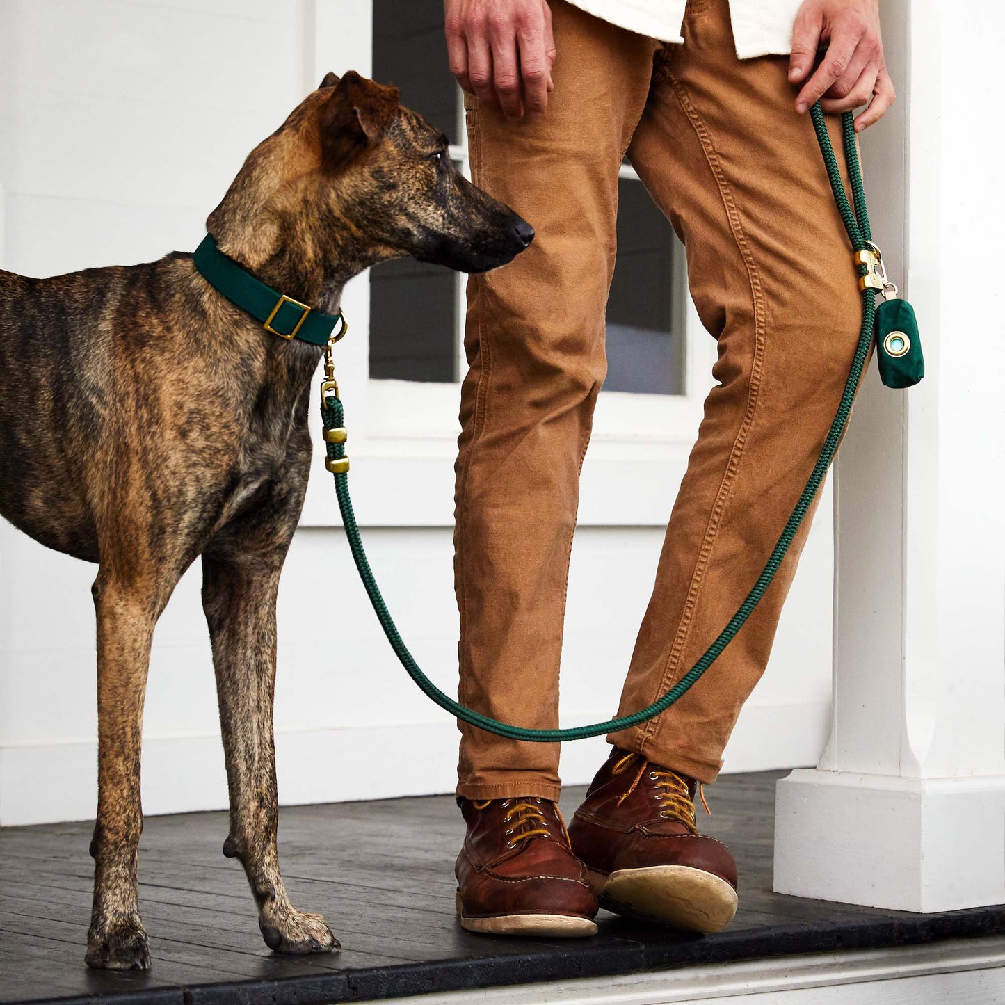 Green Marine Rope Dog Leash