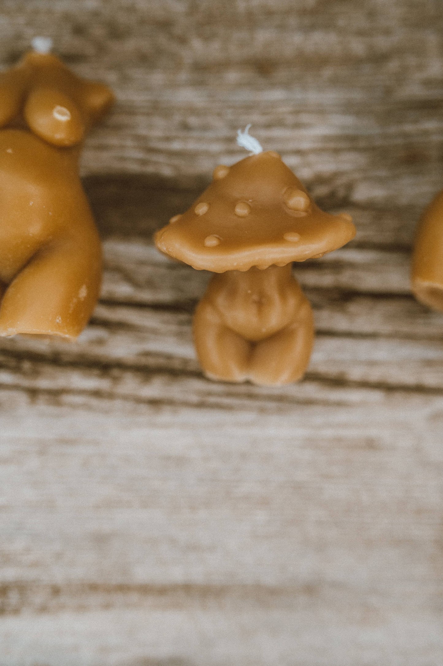 Curvy Mushroom Beeswax Candle