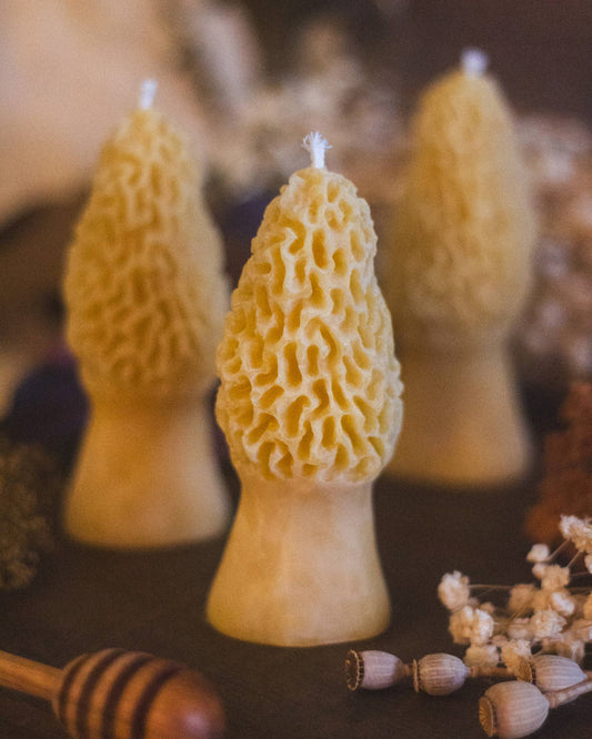 Morel Mushroom Beeswax Candle