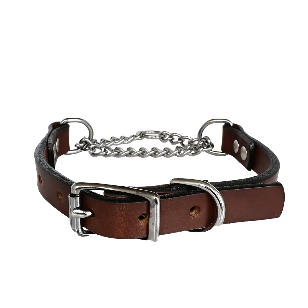 Martingale Dog Collar